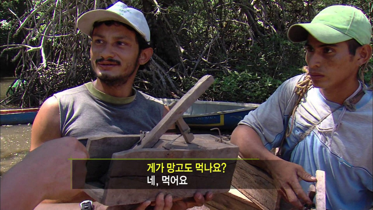 세계테마기행 엘살바도르의봄제2부맹글로브숲의생명몬테크리스토 20110329 mpeg ps 1920 1080 15m A110329013 O