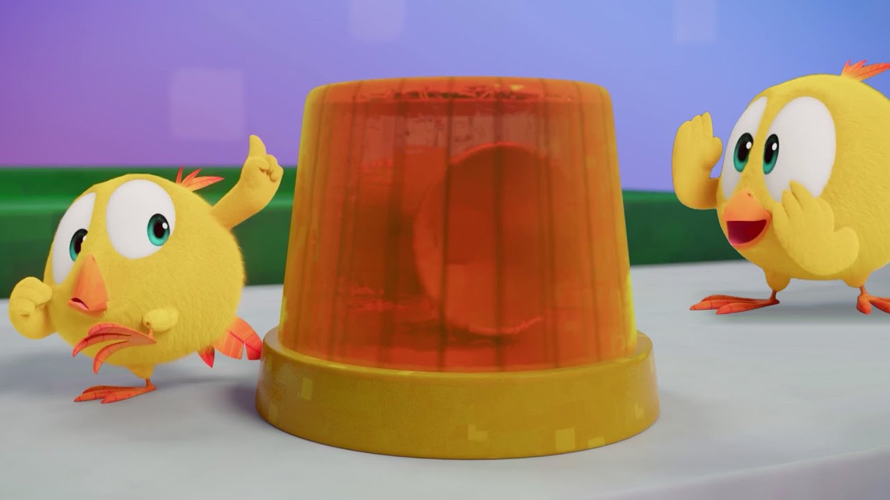 Where's Chicky? | Chicky's toy | A Xilam Series | Xilam TV