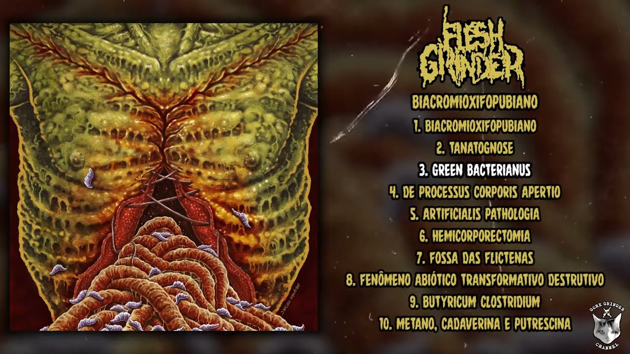 Flesh Grinder - Biacromioxifopubiano FULL ALBUM (2025 - Goregrind / Death Metal)