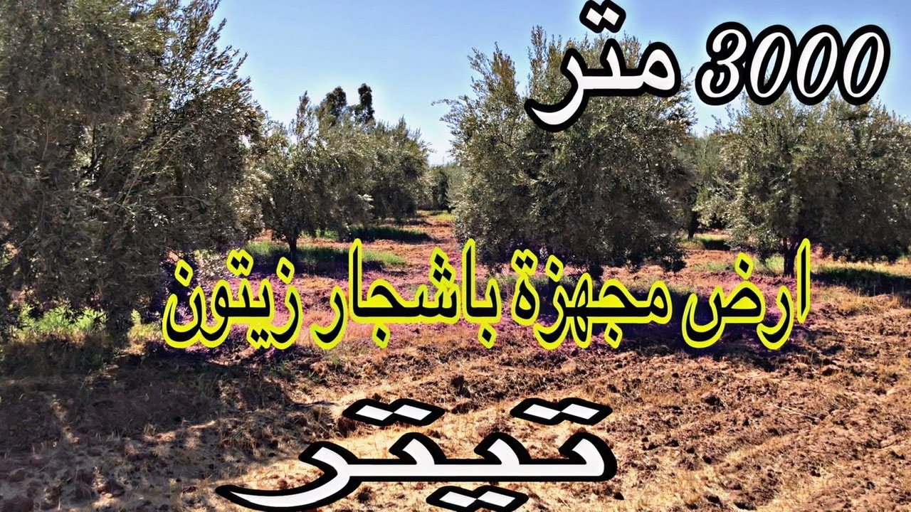 ارض للبيع نواحي مراكش تيتر فونصي