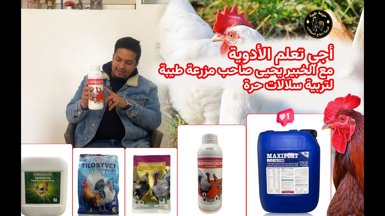 معلومات مهمة حول أدوية الدجاج مع الخبير يحيى 🐔