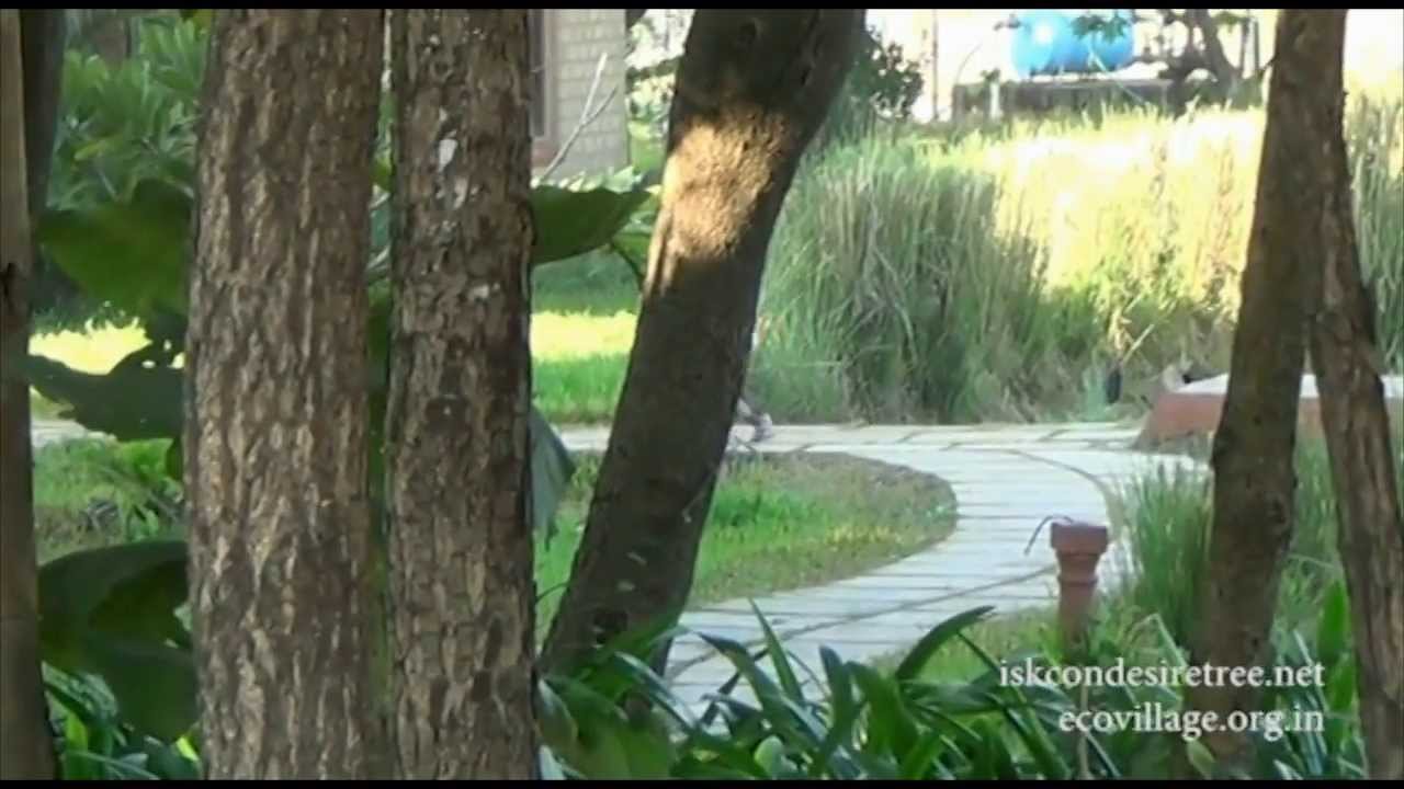 Govardhan Eco Village - Documentary Film