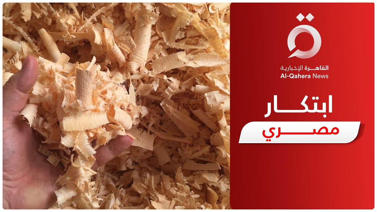 تُصدر لأوروبا.. مصنع مصري يحول نشارة الخشب إلى حبيبات لإعادة استخدامها