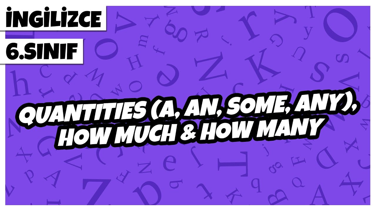 6. Sınıf İngilizce - Quantities (A, An, Some, Any), How Much & How Many | 2022