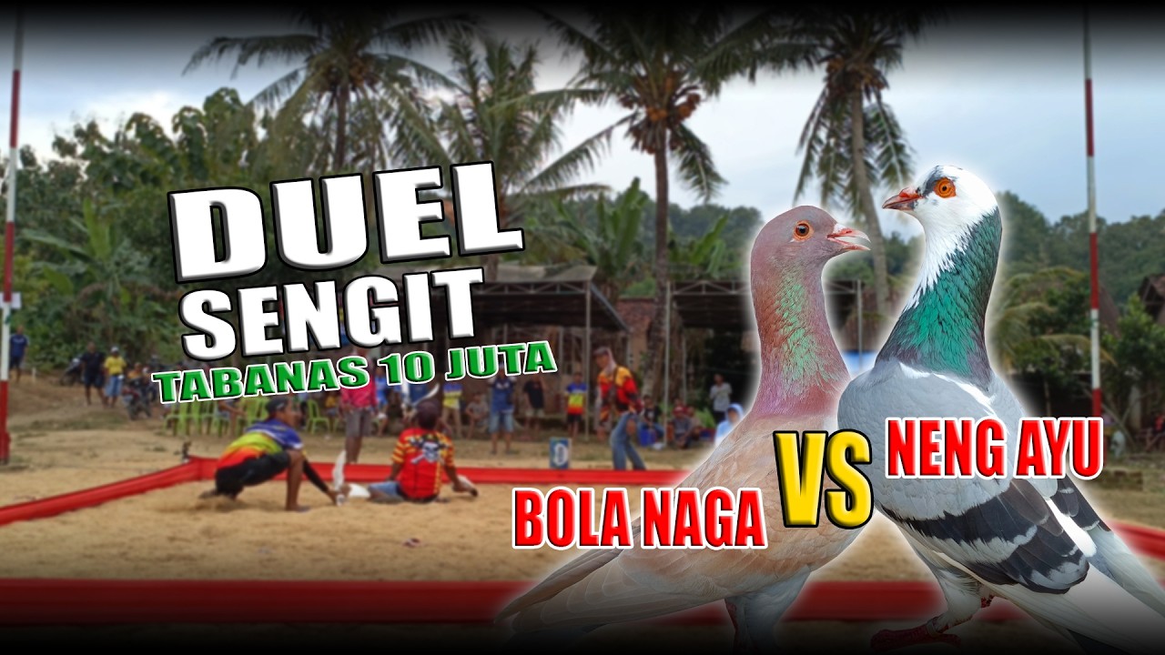FINAL BOB LAPKOL BINTANG TIMUR || TABANAS 10 JUTA