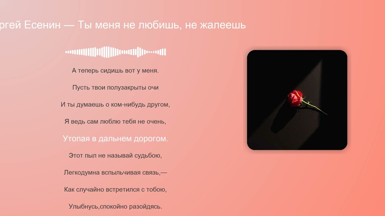 Сергей Есенин — Ты меня не любишь, не жалеешь