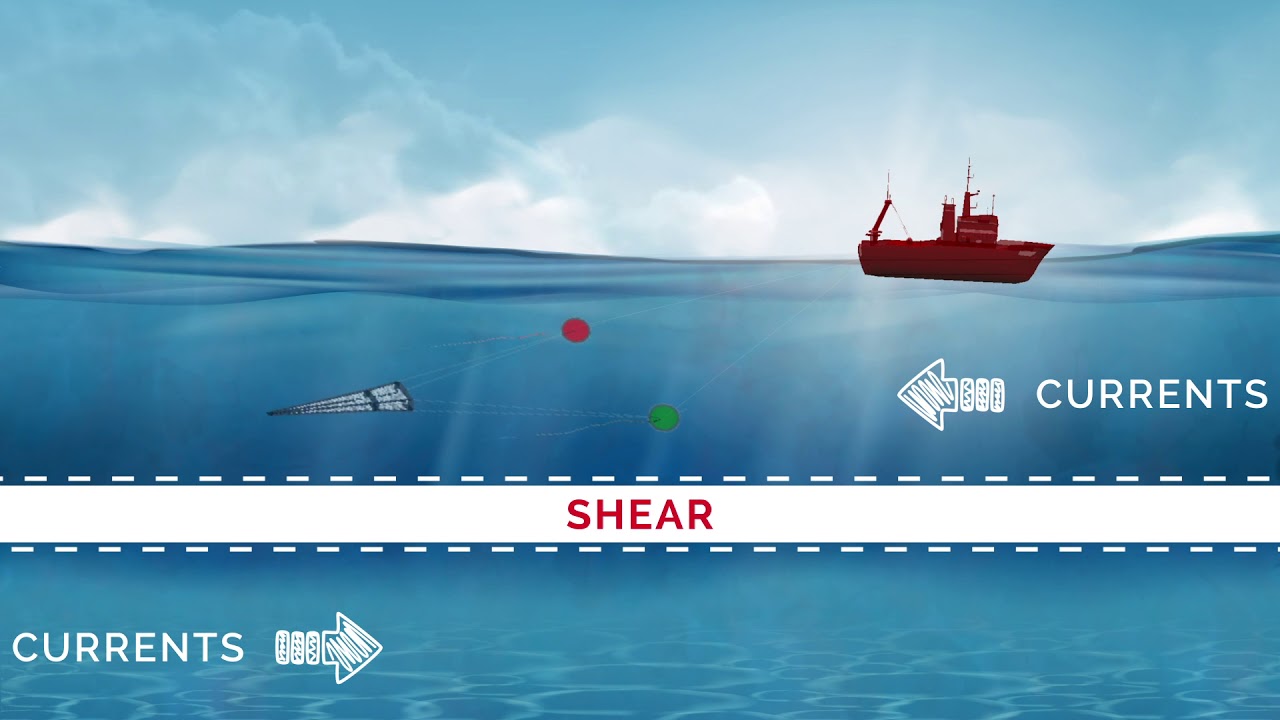 Shear data with TZ Professional