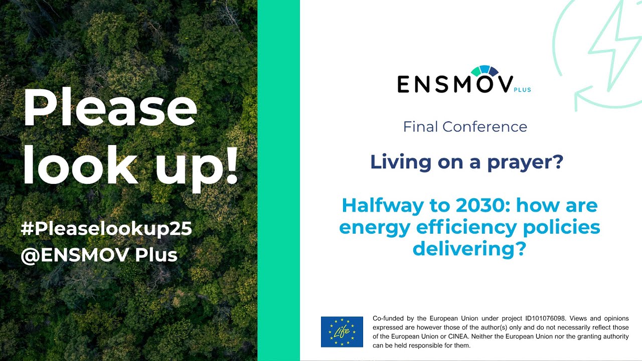 Living on a prayer? Halfway to 2030: how are energy efficiency policies delivering?