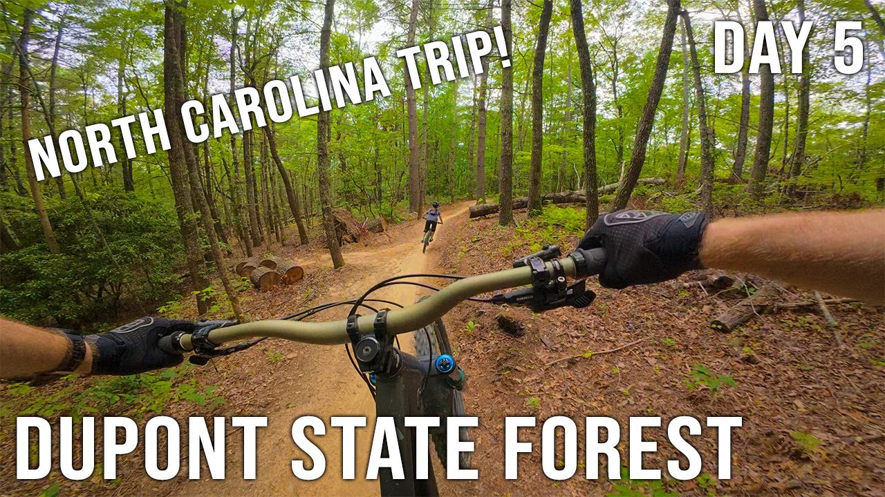 Ultra-Smooth Flow Trails in North Carolina | Dupont State Forest Mountain Biking