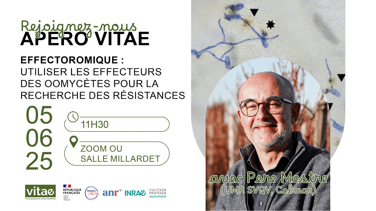 Apéro VITAE n°24 - Effectoromique : les effecteurs des oomycètes et la recherche de gènes résistants