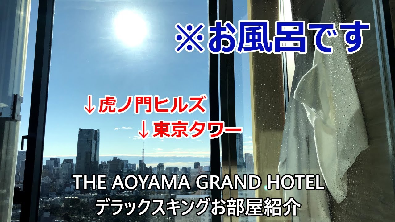 THE AOYAMA GRAND HOTEL 眺めもアートも楽しめる東京・青山のおしゃれなホテル！デラックスキングお部屋紹介/Deluxe King room tour