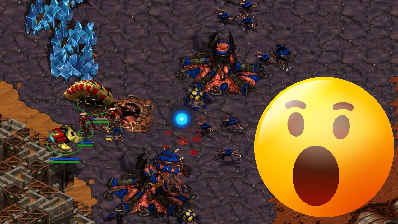 Reaver Rush in PvZ!?!?