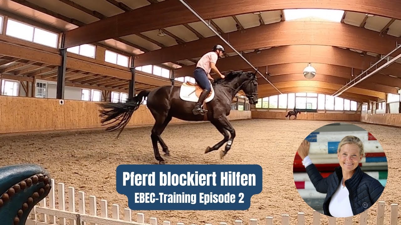 Vom Problempferd zum Sportpferd 2/4 | Pferd an der Doppellonge-Nachteile Einzellonge | EBEC-Training