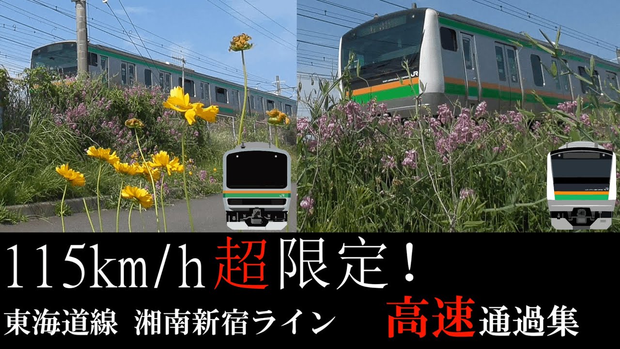 【速度付き】東海道線･湘南新宿ラインの本気!!115km/h超限定 高速通過73連発!!