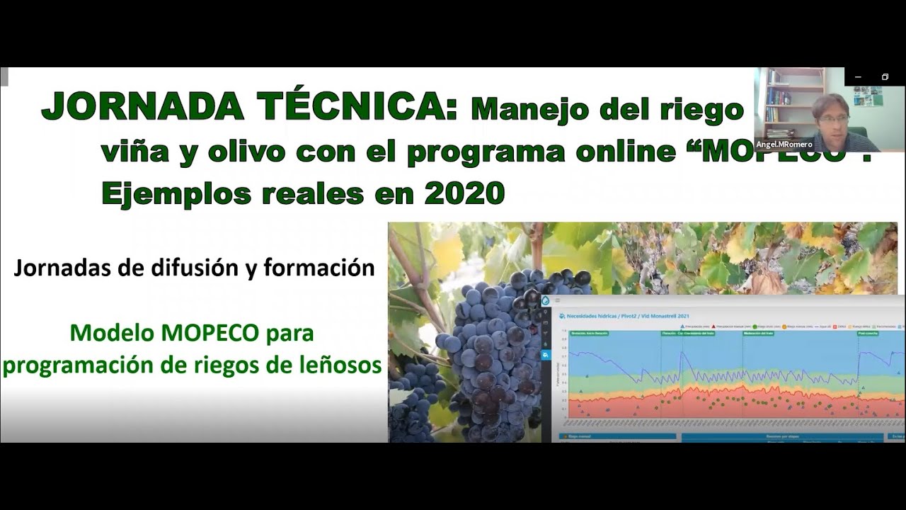 JORNADA TÉCNICA: Manejo del riego en viña con el programa online “MOPECO”. Ejemplos reales en 2020.