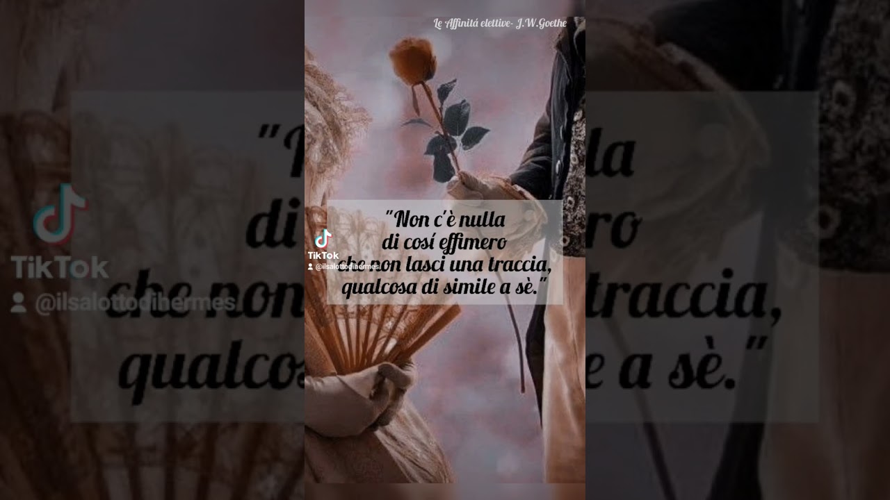 Le affinit&aacute; elettive Goethe frasi