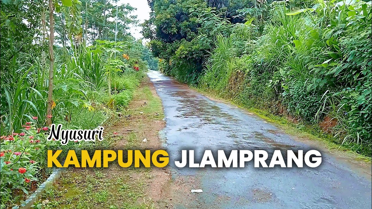 Nyusuri Kampung Jlamprang | Desa Selotinatah Sing Isih Tentrem