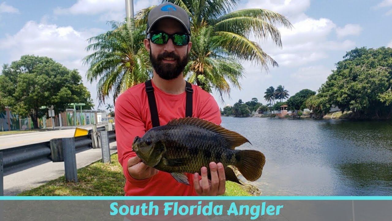 Catching MASSIVE Tilapia (PB) & EXOTIC Mayan Cichlid (PB)