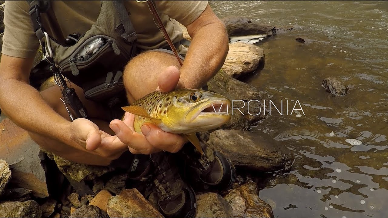 Exploring Virginia's Backwoods, a GoPro film.