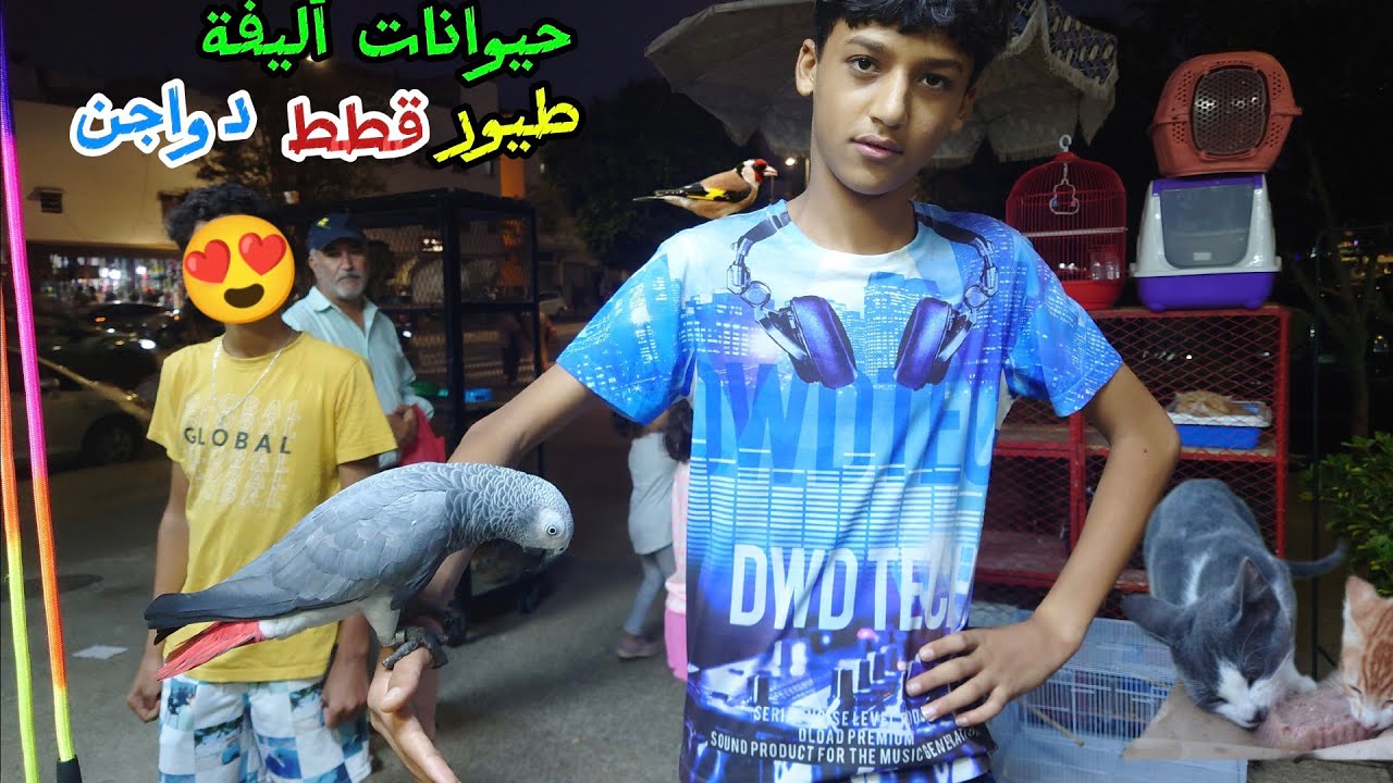 الحيوانات الأليفة 🦜 🐈🐤 في أحسن سوق مدينة سلا  تعرف على أنواع الطيور وأثمنة اليوم  ........