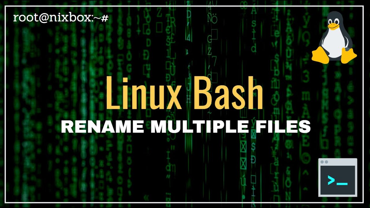 How to Change File Extension to Multiple Files at Once in Bash