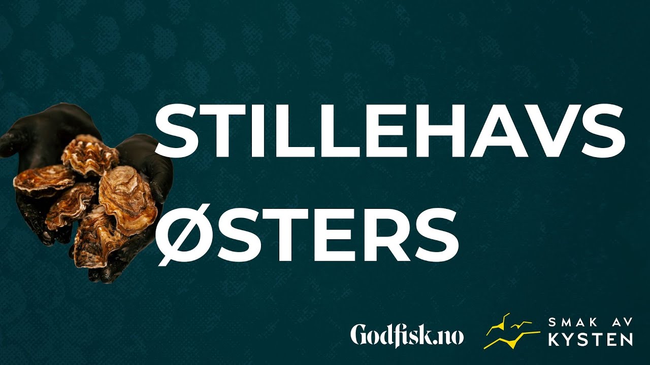 Stillehavsøsters