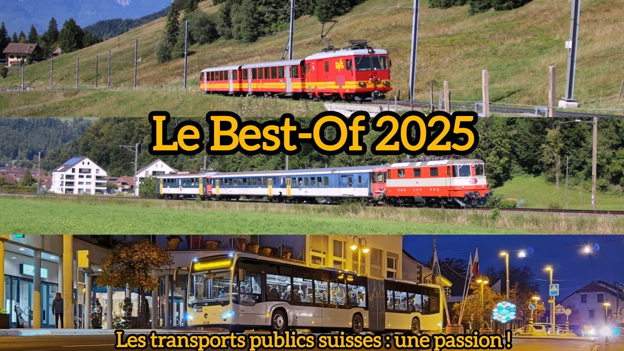 Best-Of 2025 | Les meilleures vidéos !