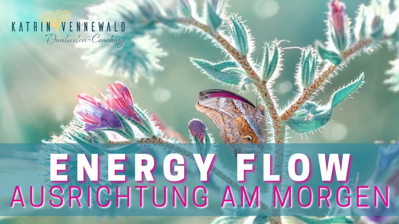 Dualseelen Flow - Morning Energy - Erhöhe deine Schwingung - Morgenritual