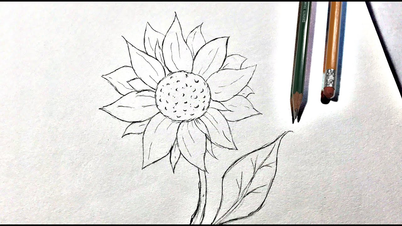 🌻COMO DIBUJAR UN GIRASOL FACIL A LAPIZ🌻