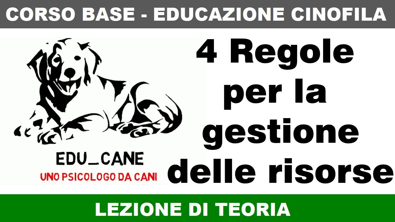 4 Regole per la gestione delle risorse nell'educazione del cane