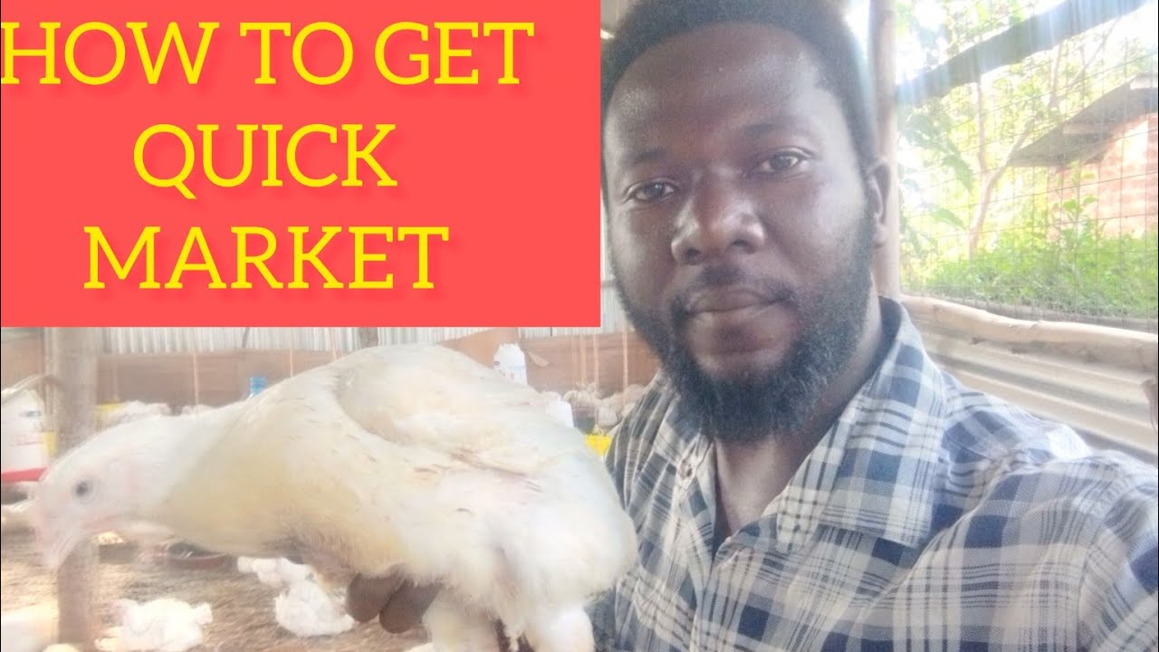 HOW TO QUICKLY GET MARKET FOR YOUR BROILERS 