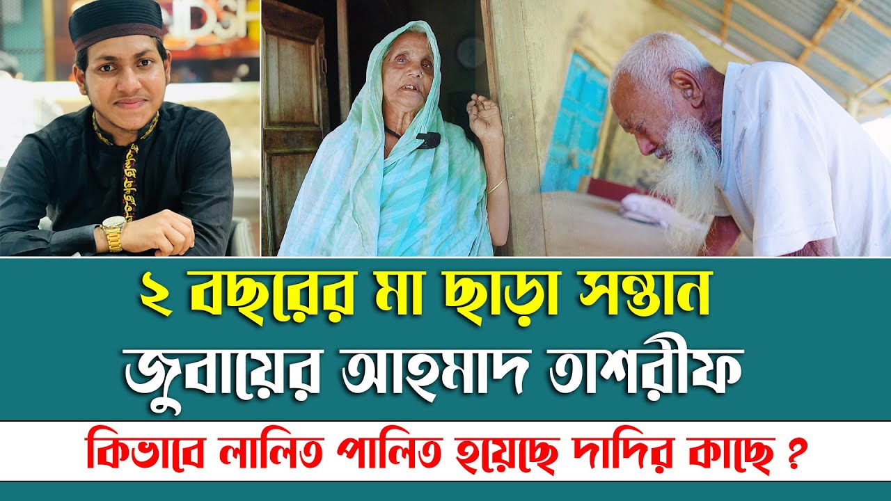 ২ বছরের মা ছাড়া সন্তান   জুবায়ের আহমাদ তাশরীফ । কিভাবে লালিত পালিত হয়েছে দাদির কাছে ?