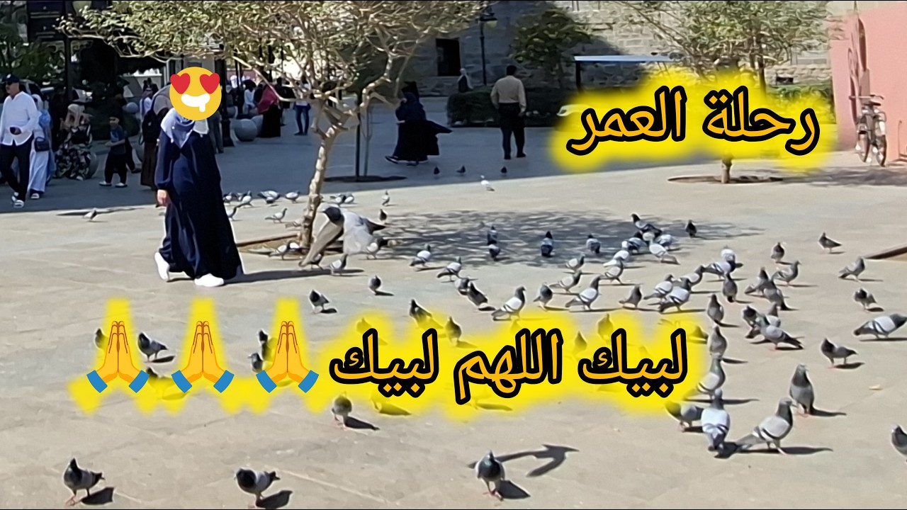 دعيت فاستجبت لبيك اللهم لبيك، رحلة العمر مع ابني في الايام المباركة