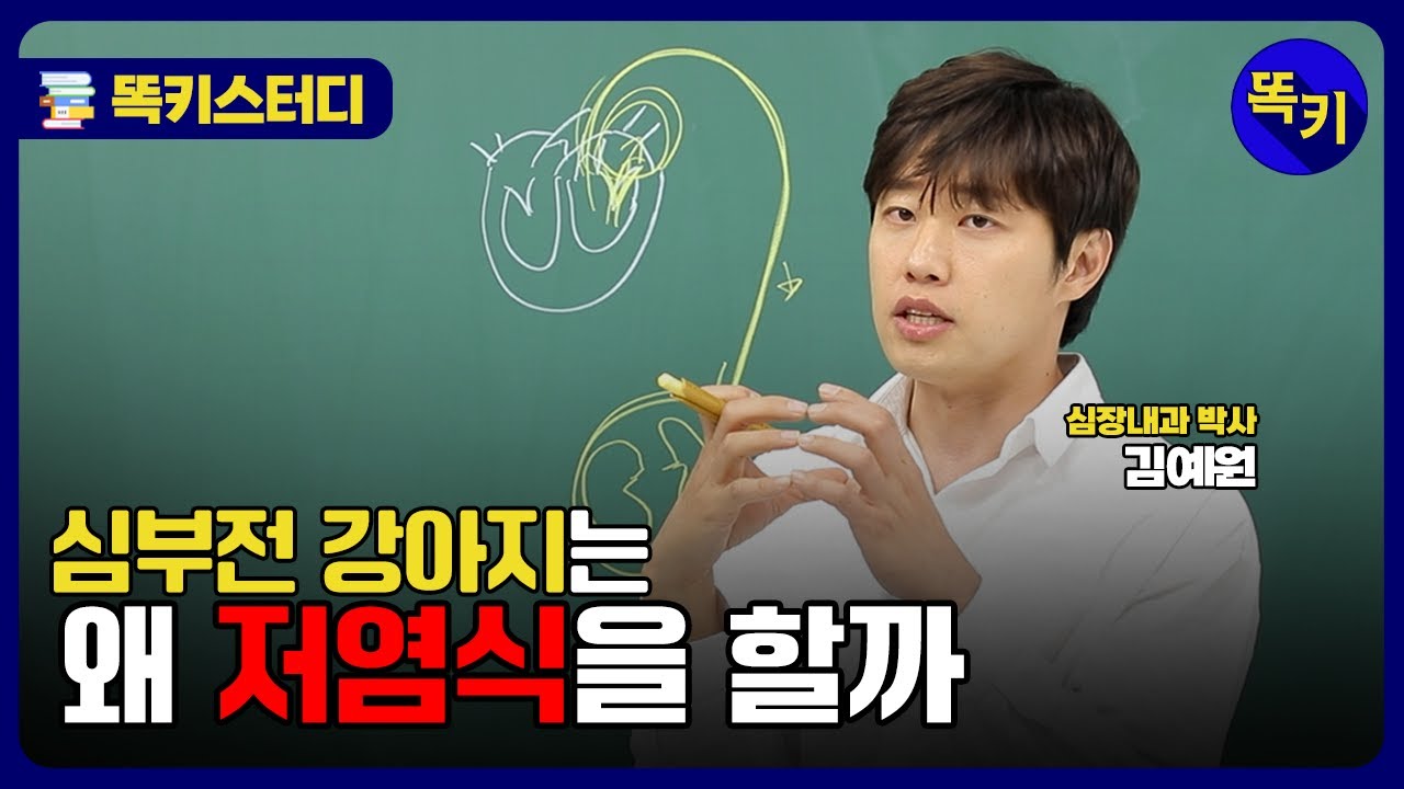 심부전 강아지 식이 관리 | 