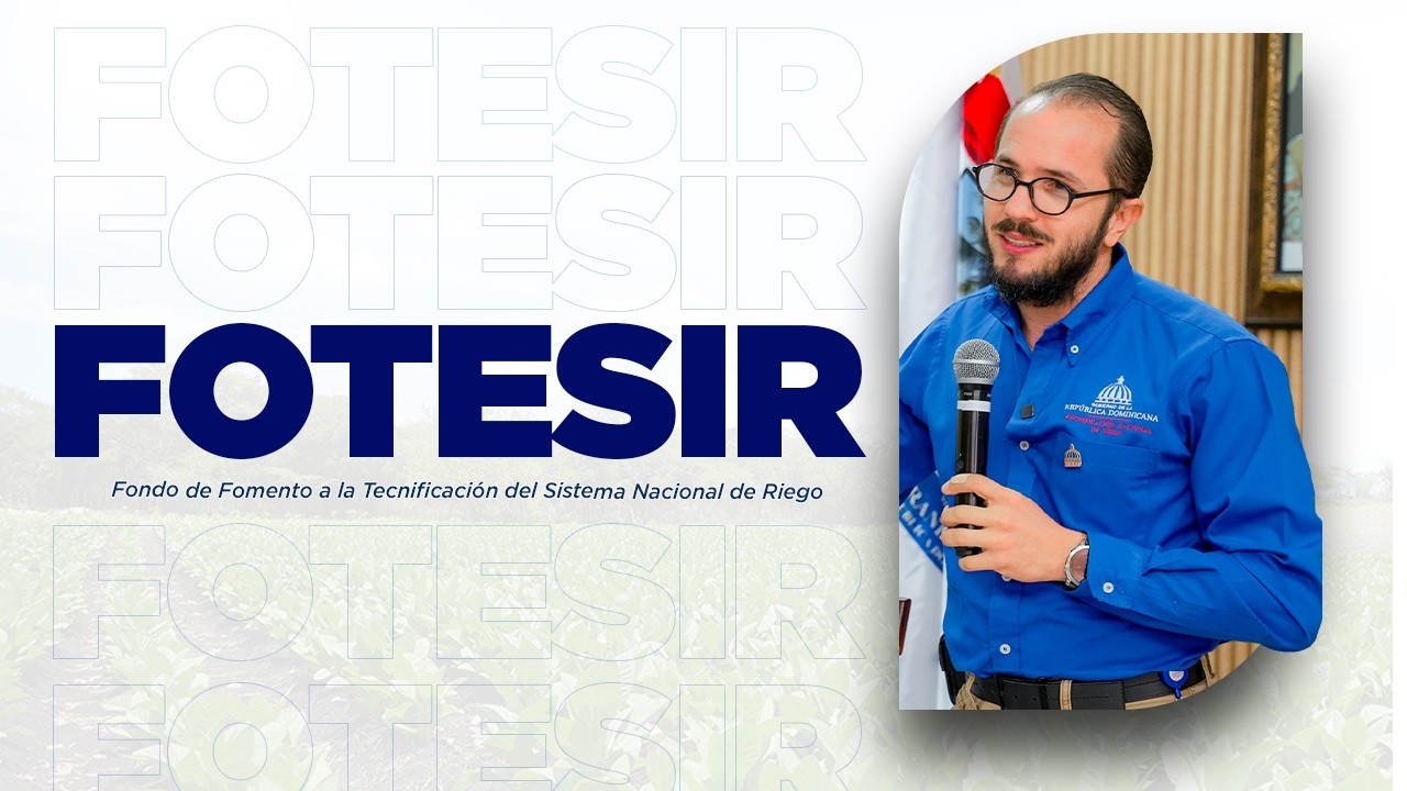 FOTESIR │Resumen 2025