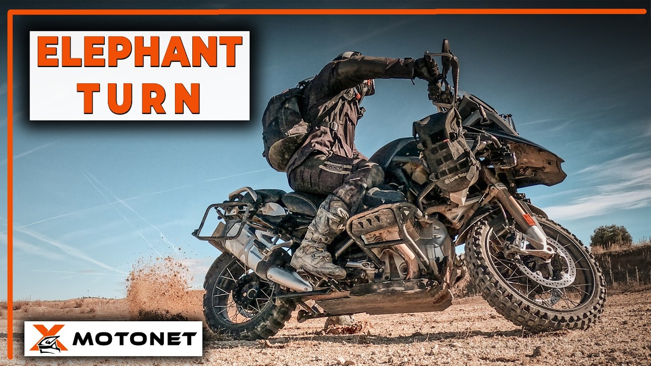 Elephant Turn einfach erklärt: Du kannst das auch!