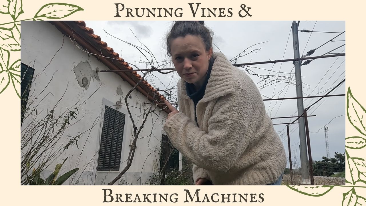 Catching Up After Weeks Of Rain | Pruning Vines & Breaking Machines