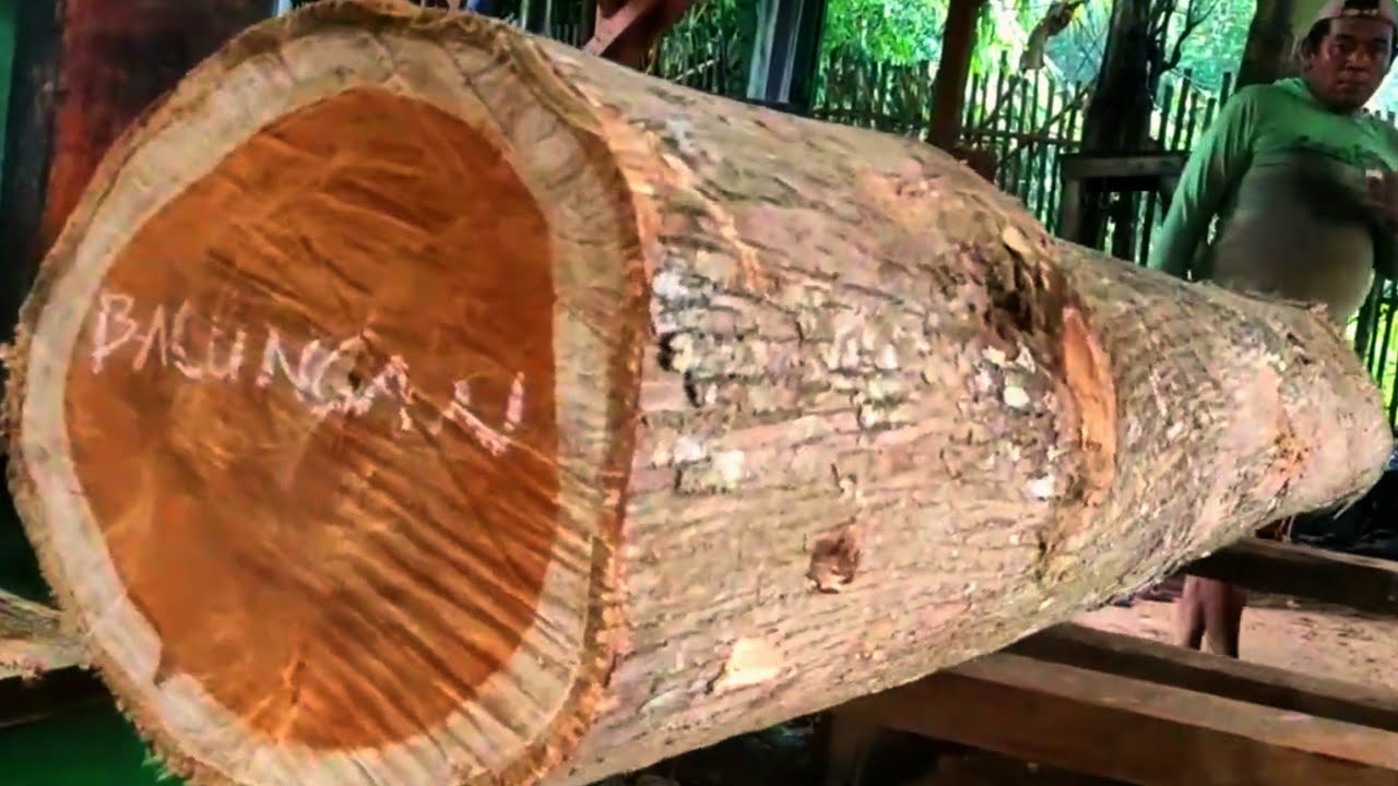 World class quality local teak wood with beautiful grain at the sawmill 