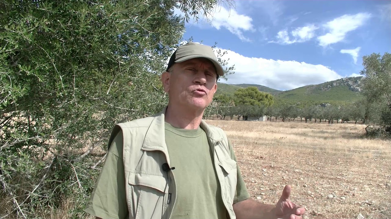 &Pi;&Epsilon;&Rho;&Iota;&Pi;&Alpha;&Tau;&Eta;&Tau;&Eta;&Sigma;  S1  episode 3 &Mu;έ&gamma;&alpha;&rho;&alpha;