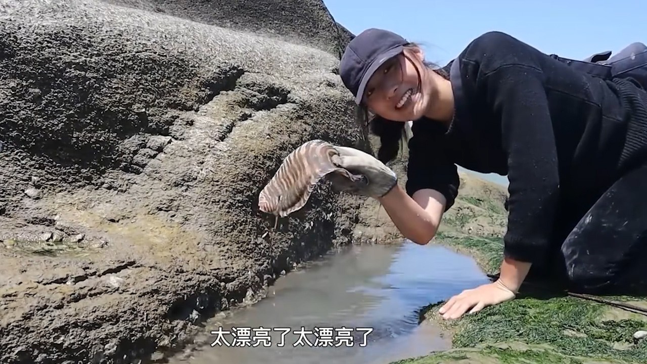 好天气遇到了漂亮货，还是一对躲在坑里干啥？身上的花纹很好看哦