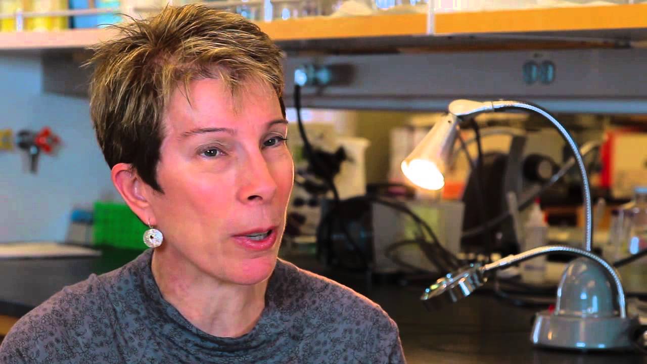 Anat Erdreich-Epstein, MD, PhD