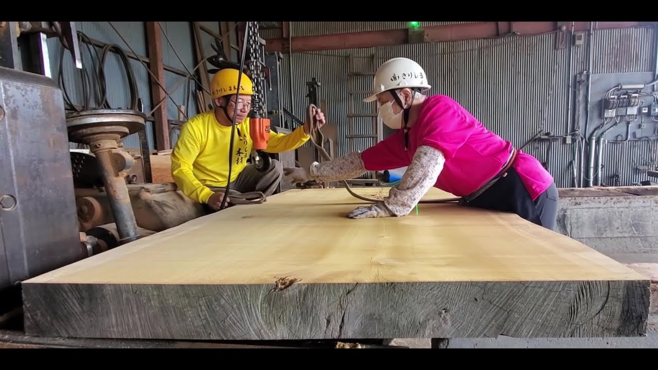 ＃27【製材】大銀杏Ⅰ　A ginkgo tree over 500 years old that was sawn 20 years ago.