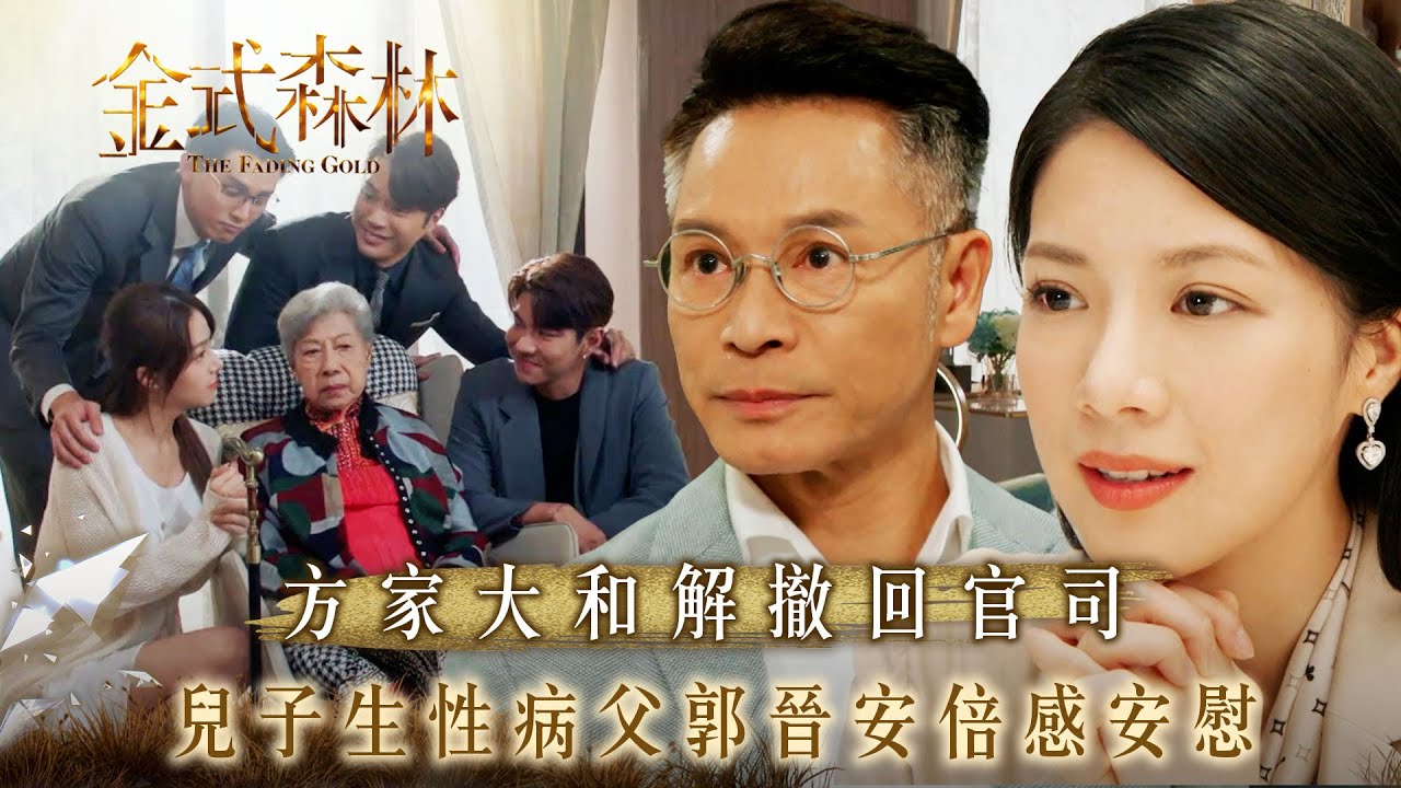 金式森林｜方家大和解撤回官司 兒子生性病父郭晉安倍感安慰(繁/簡中字幕)｜第二十集精華｜TVB劇集｜台慶劇｜港劇｜劇集｜電視劇｜TVB #郭晉安 #羅蘭 #金式森林