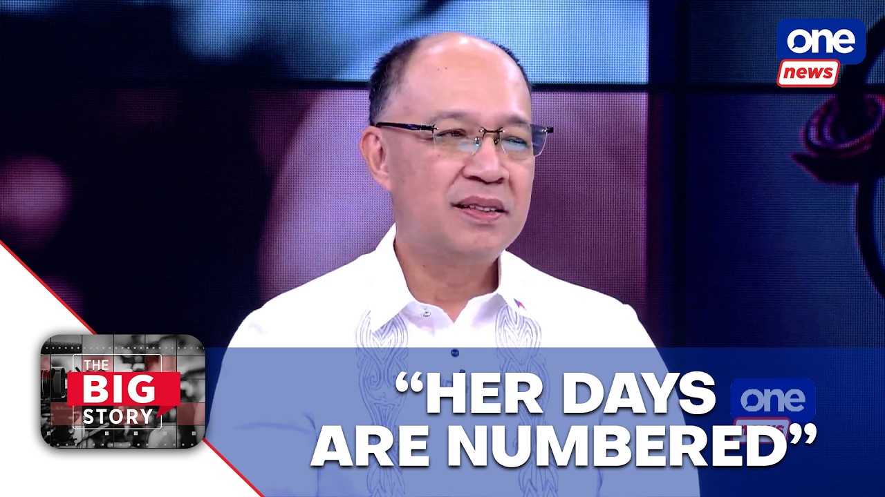 VP Sara&rsquo;s days are numbered based on evidence &mdash; Calleja