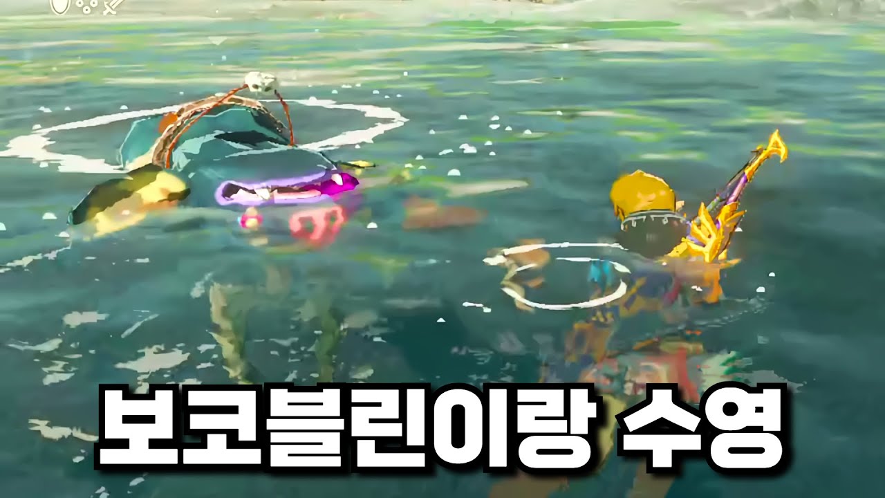 [제보 영상] 본격적으로 젤다를 즐기기 시작한 고인물들(?)