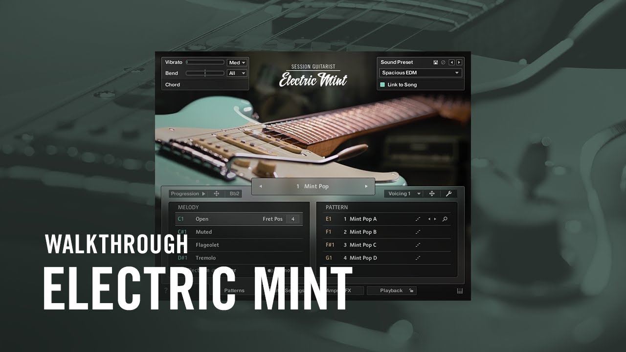 SESSION GUITARIST &ndash; ELECTRIC MINT Walkthrough | Native Instruments