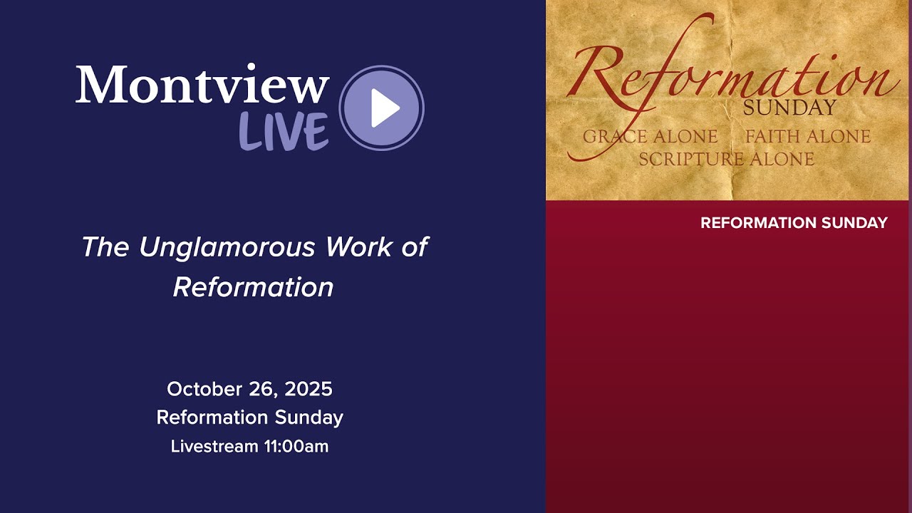 The Unglamorous Work of Reformation-Rev Clover Reuter Beal-Montview Live-10_26_25