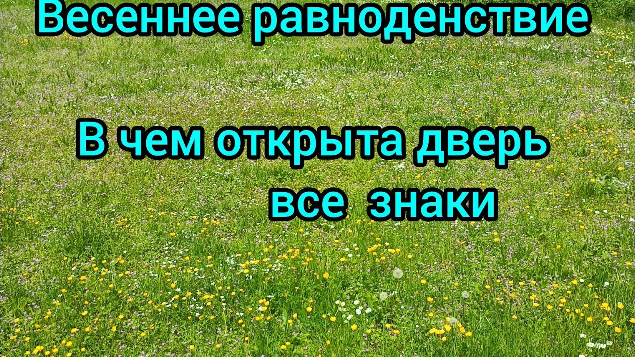 🍀 День весеннего равноденствия. В чем открыта дверь. Все знаки зодиака ✨