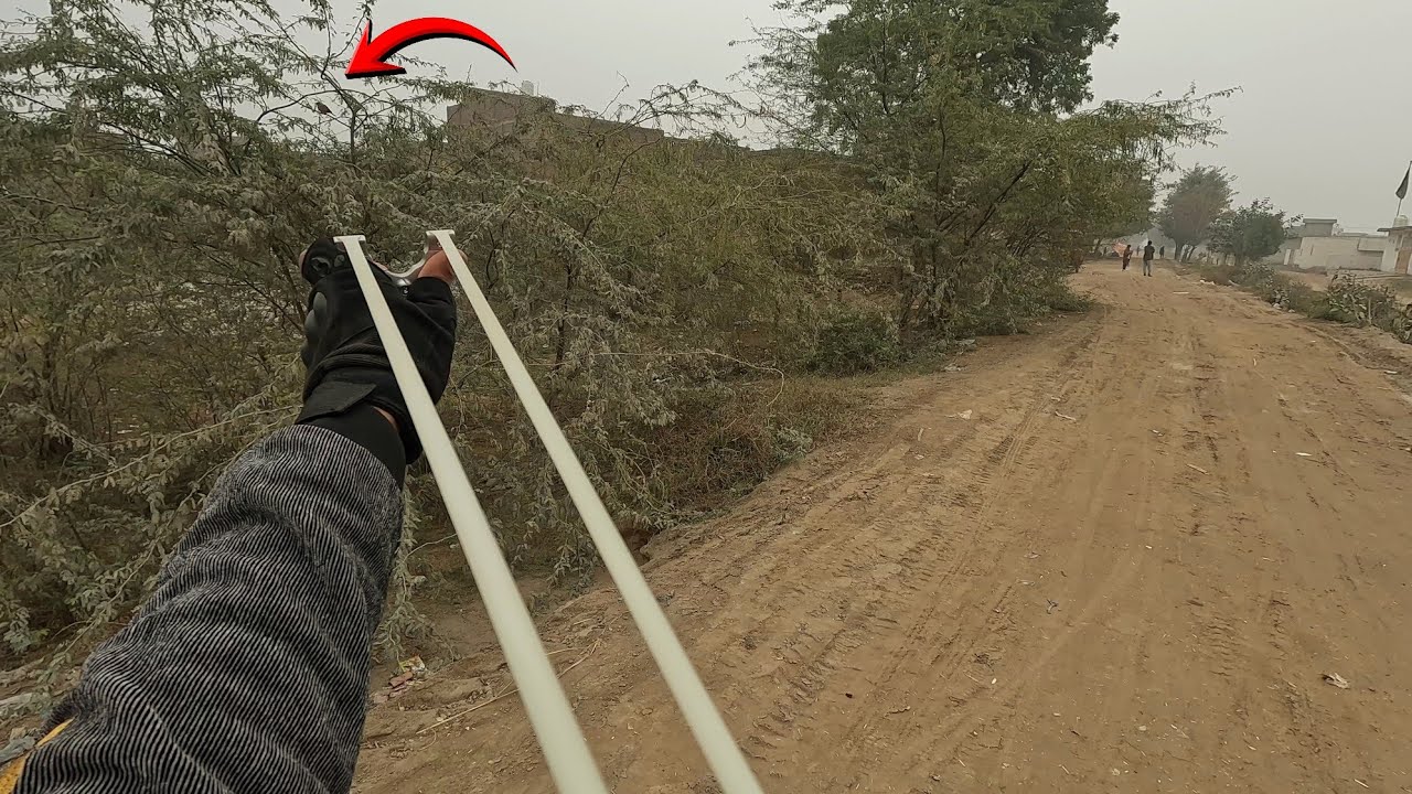 Подборка охотничьих кадров с рогаткой | Майна, скворец, камышница и голубь | Дневные и сумеречные...