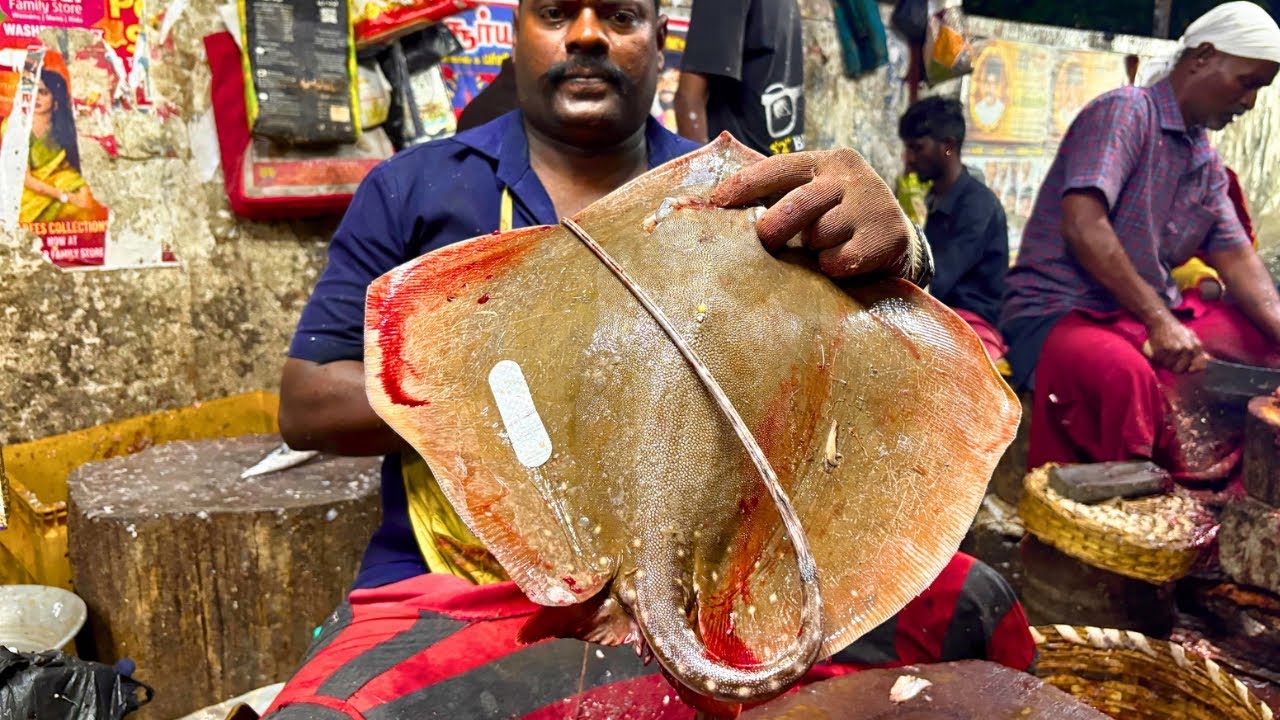 KASIMEDU SPEED SELVAM STINGRAY FISH 🐟 CUTTING VIDEO \ CUTTING FOCUS